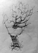 1991 - China su carta - Natura amica